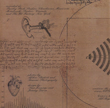 Carica l'immagine nel visualizzatore di Gallery, Prince : Musicology (CD, Album, Jew)
