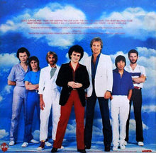 Carica l'immagine nel visualizzatore di Gallery, Air Supply : The One That You Love (LP, Album)