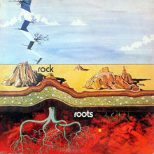 Carica l'immagine nel visualizzatore di Gallery, Various : Rock Roots (2xLP, Comp)