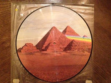 Carica l'immagine nel visualizzatore di Gallery, Pink Floyd : The Dark Side Of The Moon (LP, Album, Ltd, Pic)