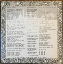 Carica l'immagine nel visualizzatore di Gallery, Sheila Chandra : The Struggle (LP)