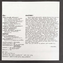 Carica l'immagine nel visualizzatore di Gallery, Eik : Speglun (LP, Album)