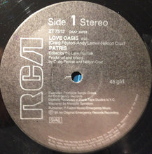 Carica l'immagine nel visualizzatore di Gallery, Patris : Love Oasis (12", Promo)