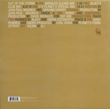 Carica l'immagine nel visualizzatore di Gallery, Incognito : Out Of The Storm (12")