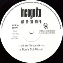 Carica l'immagine nel visualizzatore di Gallery, Incognito : Out Of The Storm (12")