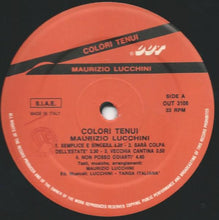 Carica l'immagine nel visualizzatore di Gallery, Maurizio Lucchini : Colori Tenui (LP, Album)