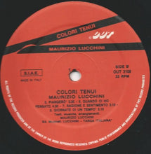 Carica l'immagine nel visualizzatore di Gallery, Maurizio Lucchini : Colori Tenui (LP, Album)