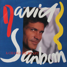 Carica l'immagine nel visualizzatore di Gallery, David Sanborn : A Change Of Heart (LP, Album)