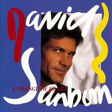 Carica l'immagine nel visualizzatore di Gallery, David Sanborn : A Change Of Heart (LP, Album)