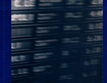 Carica l'immagine nel visualizzatore di Gallery, RAF (5) : Passeggeri Distratti (CD, Album)