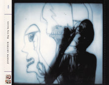 Carica l'immagine nel visualizzatore di Gallery, Joseph Arthur : Big City Secrets (CD, Album)