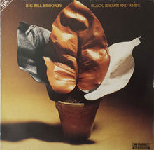 Carica l'immagine nel visualizzatore di Gallery, Big Bill Broonzy : Black, Brown And White (2xLP, Comp)