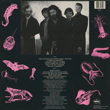 Carica l'immagine nel visualizzatore di Gallery, Roky Erickson And The Aliens : I Think Of Demons (LP, Album, RE)