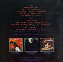 Carica l'immagine nel visualizzatore di Gallery, Meat Loaf : Hits Out Of Hell (LP, Comp)