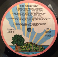 Carica l'immagine nel visualizzatore di Gallery, Various : Nice Enough To Eat (LP, Comp, RE, Smplr)