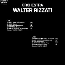 Carica l'immagine nel visualizzatore di Gallery, Orchestra Walter Rizzati : Orchestra Walter Rizzati (LP)