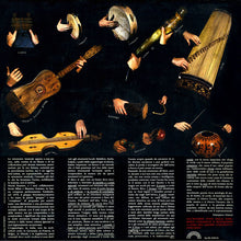 Carica l'immagine nel visualizzatore di Gallery, Strumentoconcerto : Lo Strumento Fa Concerto (LP, Gat)