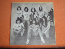 Carica l'immagine nel visualizzatore di Gallery, Crosby & Nash : Whistling Down The Wire (LP, Album)