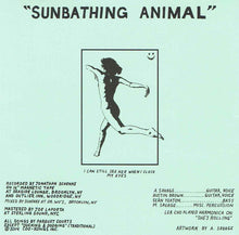Carica l'immagine nel visualizzatore di Gallery, Parquet Courts : Sunbathing Animal (CD, Album)