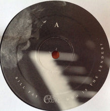 Carica l'immagine nel visualizzatore di Gallery, Bill Fay : Who Is The Sender? (2xLP, Album)