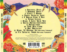Carica l'immagine nel visualizzatore di Gallery, Big Mountain : Unity (CD, Album)