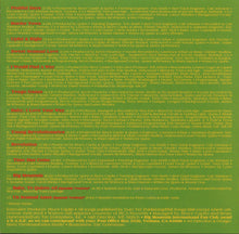 Carica l'immagine nel visualizzatore di Gallery, Big Mountain : Unity (CD, Album)