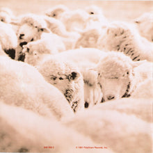 Carica l'immagine nel visualizzatore di Gallery, Black Sheep : A Wolf In Sheep's Clothing (CD, Album)