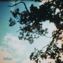 Carica l'immagine nel visualizzatore di Gallery, Bibio : Fi (2xLP, Album, RE)