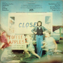 Carica l'immagine nel visualizzatore di Gallery, David Essex : All The Fun Of The Fair (LP, Album)