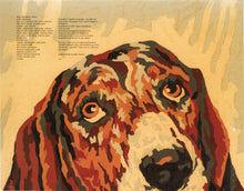 Carica l'immagine nel visualizzatore di Gallery, Lambchop : Is A Woman (CD, Album)