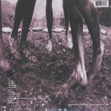 Carica l'immagine nel visualizzatore di Gallery, Pearl Jam : Vs. (LP, Album, RE, RM, 180)