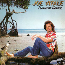 Carica l'immagine nel visualizzatore di Gallery, Joe Vitale : Plantation Harbor (LP, Album)