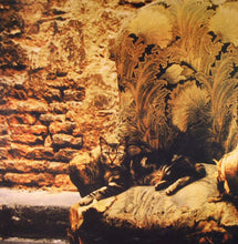 Carica l'immagine nel visualizzatore di Gallery, Catroad : Myrmidons (12")