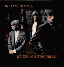 Carica l'immagine nel visualizzatore di Gallery, Dreams So Real : Rough Night In Jericho (LP, Album)