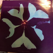 Carica l'immagine nel visualizzatore di Gallery, The Darling Buds : Crawdaddy (LP, Album)