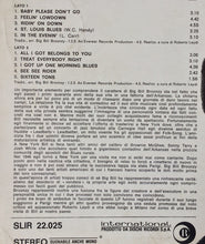 Carica l'immagine nel visualizzatore di Gallery, Big Bill Broonzy : I Got Up One Morning (LP, Album)