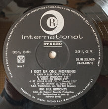 Carica l'immagine nel visualizzatore di Gallery, Big Bill Broonzy : I Got Up One Morning (LP, Album)