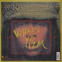 Carica l'immagine nel visualizzatore di Gallery, Erykah Badu : Mama's Gun (2xLP, Album, RE, 180)