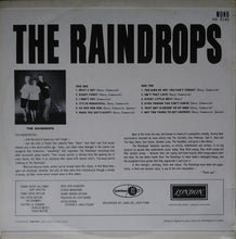 Carica l'immagine nel visualizzatore di Gallery, The Raindrops : The Raindrops (LP, Album, Mono)