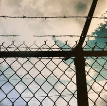 Carica l'immagine nel visualizzatore di Gallery, Ryan Adams : Prisoner (LP, Album)