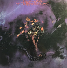 Carica l'immagine nel visualizzatore di Gallery, The Moody Blues : On The Threshold Of A Dream (LP, Album, Gat)