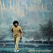 Carica l&#39;immagine nel visualizzatore di Gallery, Riccardo Cocciante : Cervo A Primavera (LP, Album, Gat)
