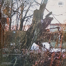 Carica l'immagine nel visualizzatore di Gallery, Black Sabbath : Black Sabbath (LP, Album, RE, 180)
