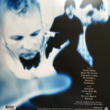 Carica l&#39;immagine nel visualizzatore di Gallery, Evanescence : Fallen (LP, Album, RE, 180)
