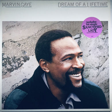 Marvin Gaye : Dream Of A Lifetime (LP, Album)