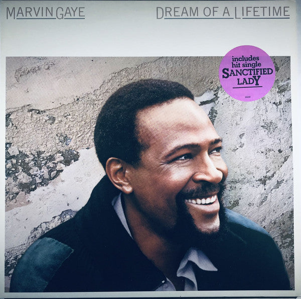 Marvin Gaye : Dream Of A Lifetime (LP, Album)