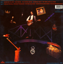 Carica l&#39;immagine nel visualizzatore di Gallery, Roger McGuinn : Back From Rio (LP, Album)
