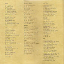 Carica l&#39;immagine nel visualizzatore di Gallery, Damien Rice : O (2xLP, Album, RE, 180)
