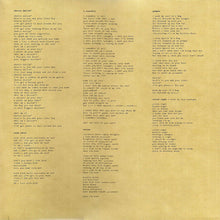 Carica l&#39;immagine nel visualizzatore di Gallery, Damien Rice : O (2xLP, Album, RE, 180)
