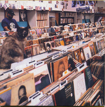 Carica l'immagine nel visualizzatore di Gallery, DJ Shadow : Endtroducing..... (CD, Album, Car)
